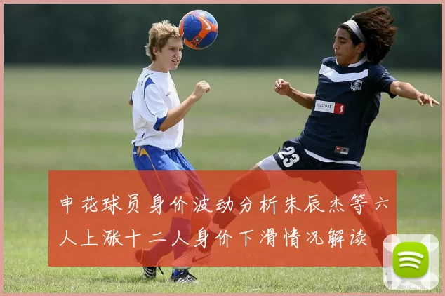申花球员身价波动分析朱辰杰等六人上涨十二人身价下滑情况解读