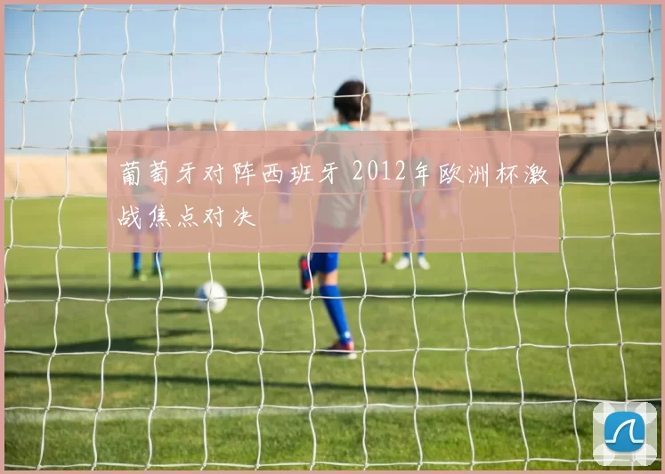 葡萄牙对阵西班牙 2012年欧洲杯激战焦点对决