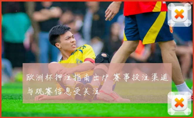 欧洲杯押注指南出炉 赛事投注渠道与观赛信息受关注