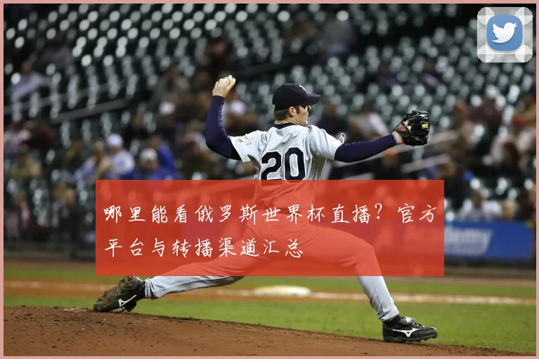 哪里能看俄罗斯世界杯直播?官方平台与转播渠道汇总