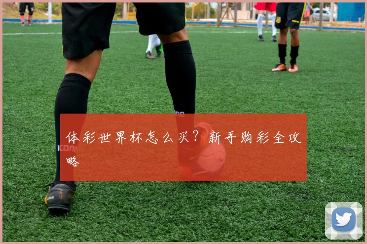 体彩世界杯怎么买?新手购彩全攻略