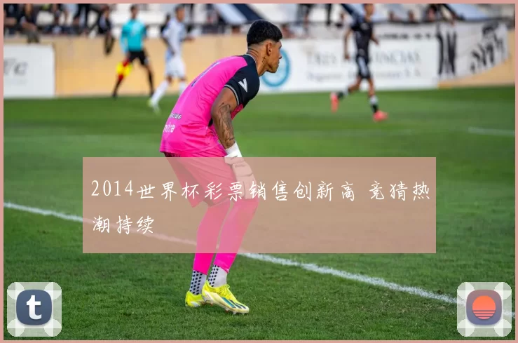 2014世界杯彩票销售创新高 竞猜热潮持续