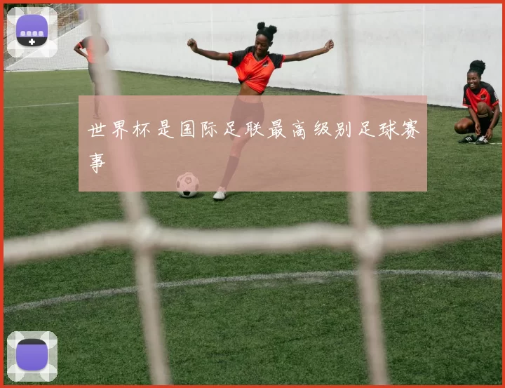 世界杯是国际足联最高级别足球赛事