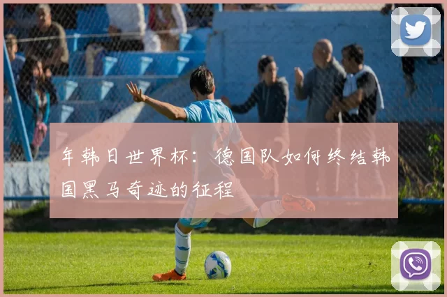 年韩日世界杯：德国队如何终结韩国黑马奇迹的征程