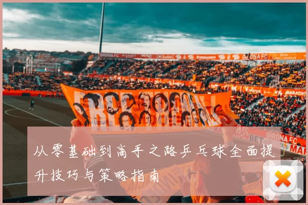 从零基础到高手之路乒乓球全面提升技巧与策略指南