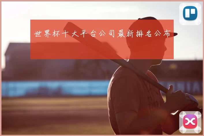 世界杯十大平台公司最新排名公布
