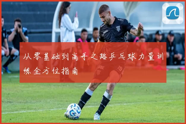 从零基础到高手之路乒乓球力量训练全方位指南