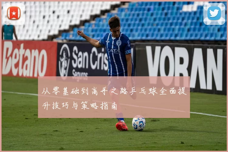 从零基础到高手之路乒乓球全面提升技巧与策略指南