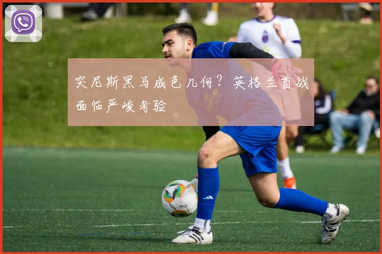 突尼斯黑马成色几何?英格兰首战面临严峻考验