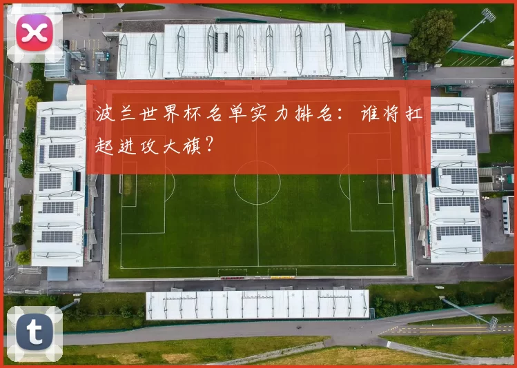 波兰世界杯名单实力排名:谁将扛起进攻大旗?